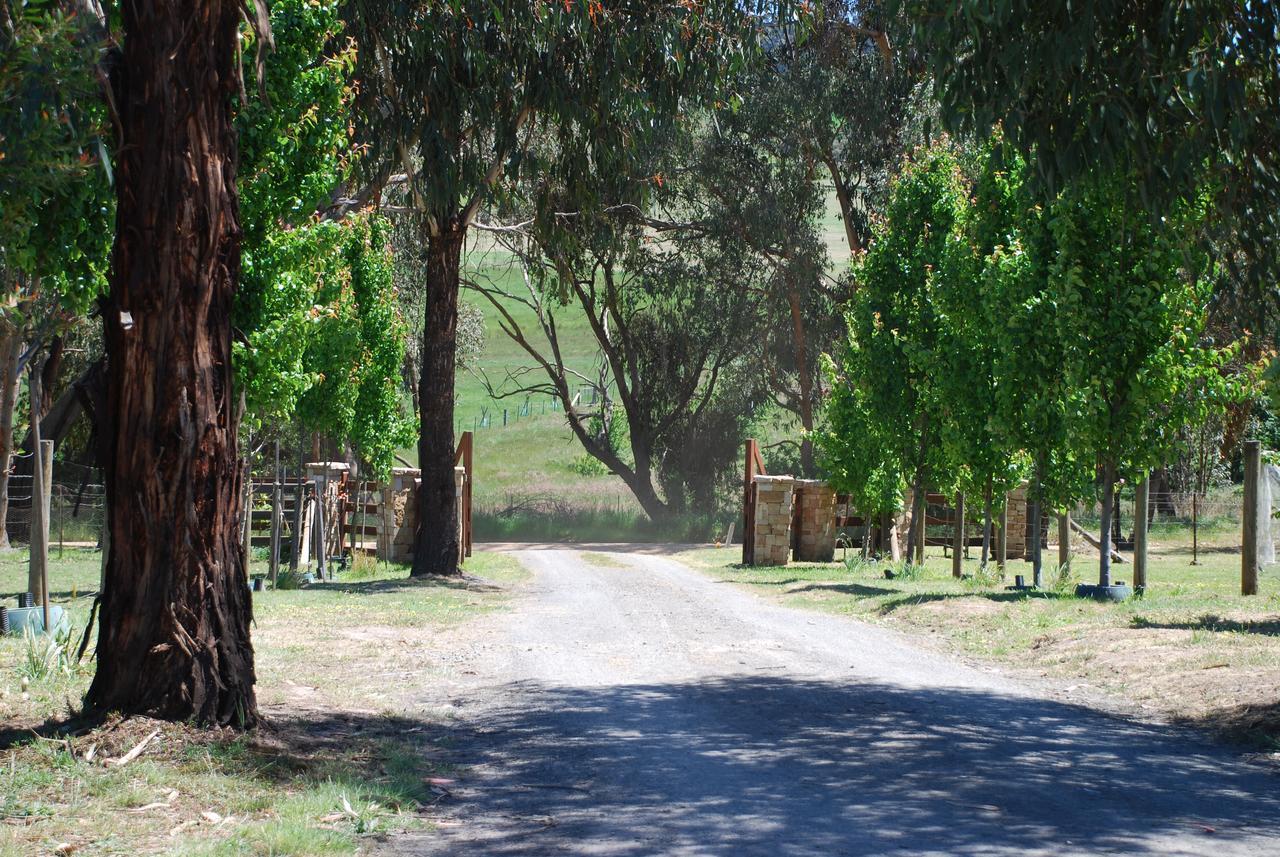 Bluegum Ridge Cottages Merrijig Buitenkant foto