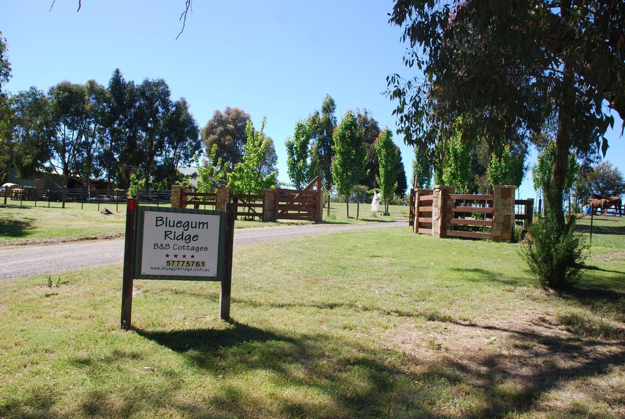 Bluegum Ridge Cottages Merrijig Buitenkant foto
