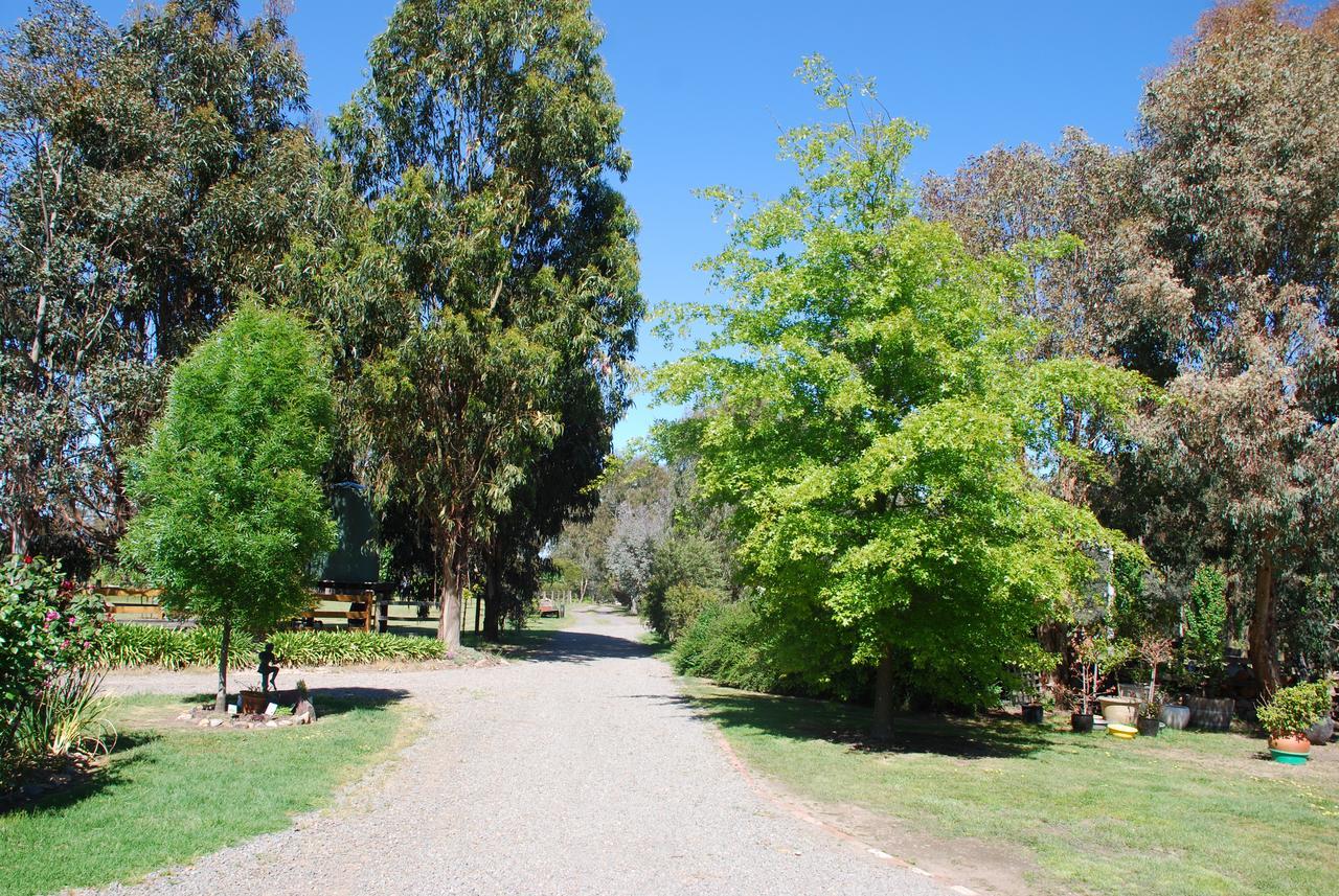 Bluegum Ridge Cottages Merrijig Buitenkant foto