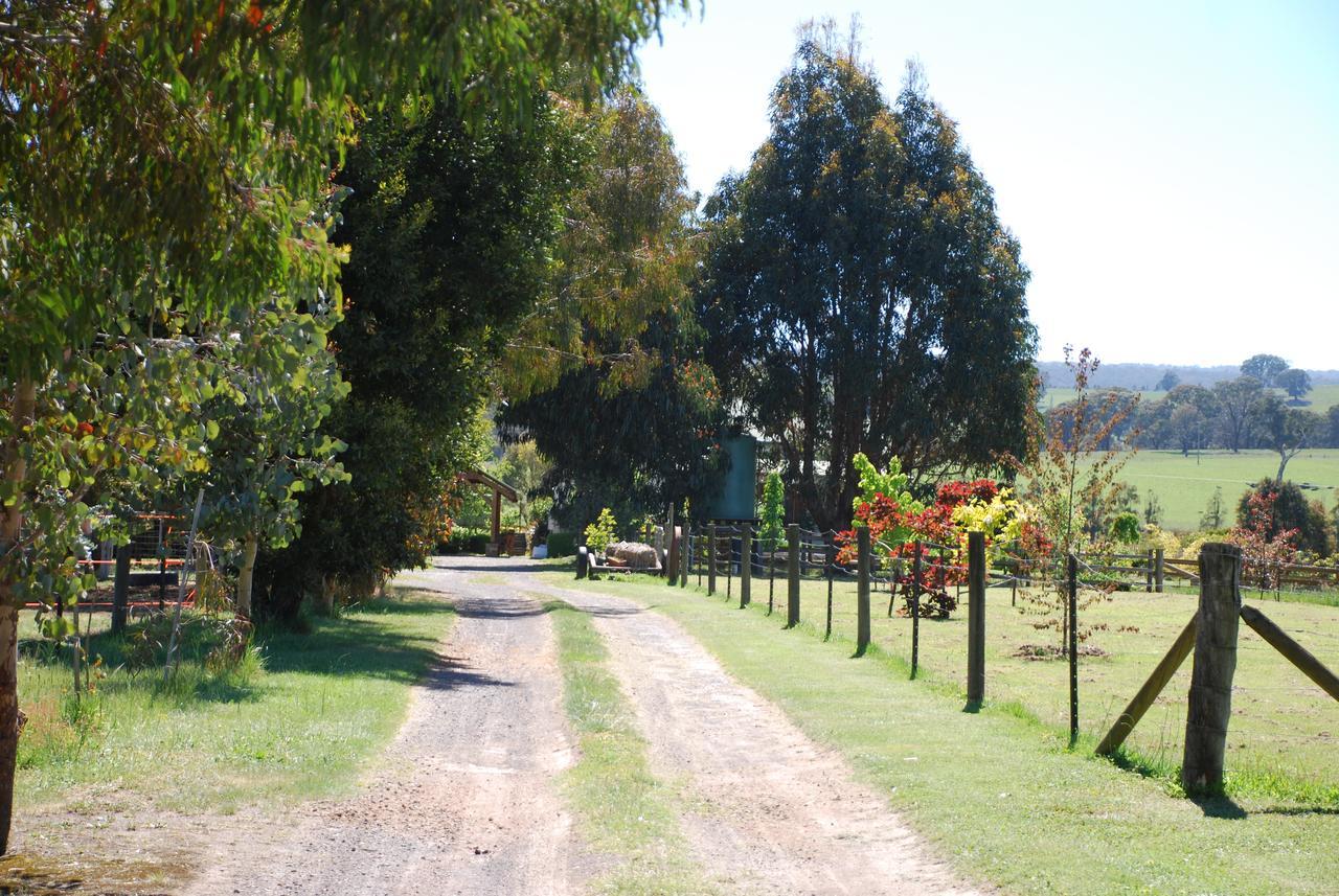 Bluegum Ridge Cottages Merrijig Buitenkant foto