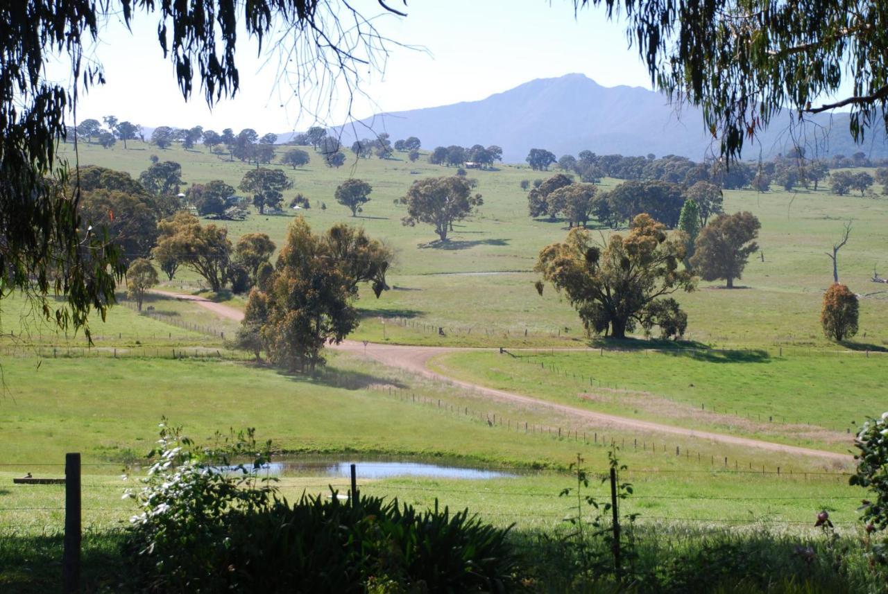 Bluegum Ridge Cottages Merrijig Kamer foto