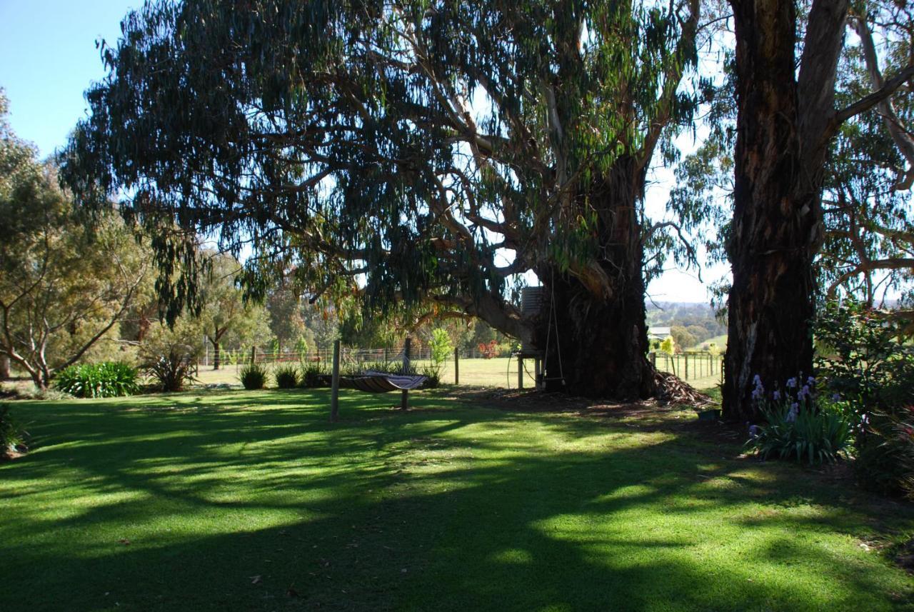 Bluegum Ridge Cottages Merrijig Kamer foto