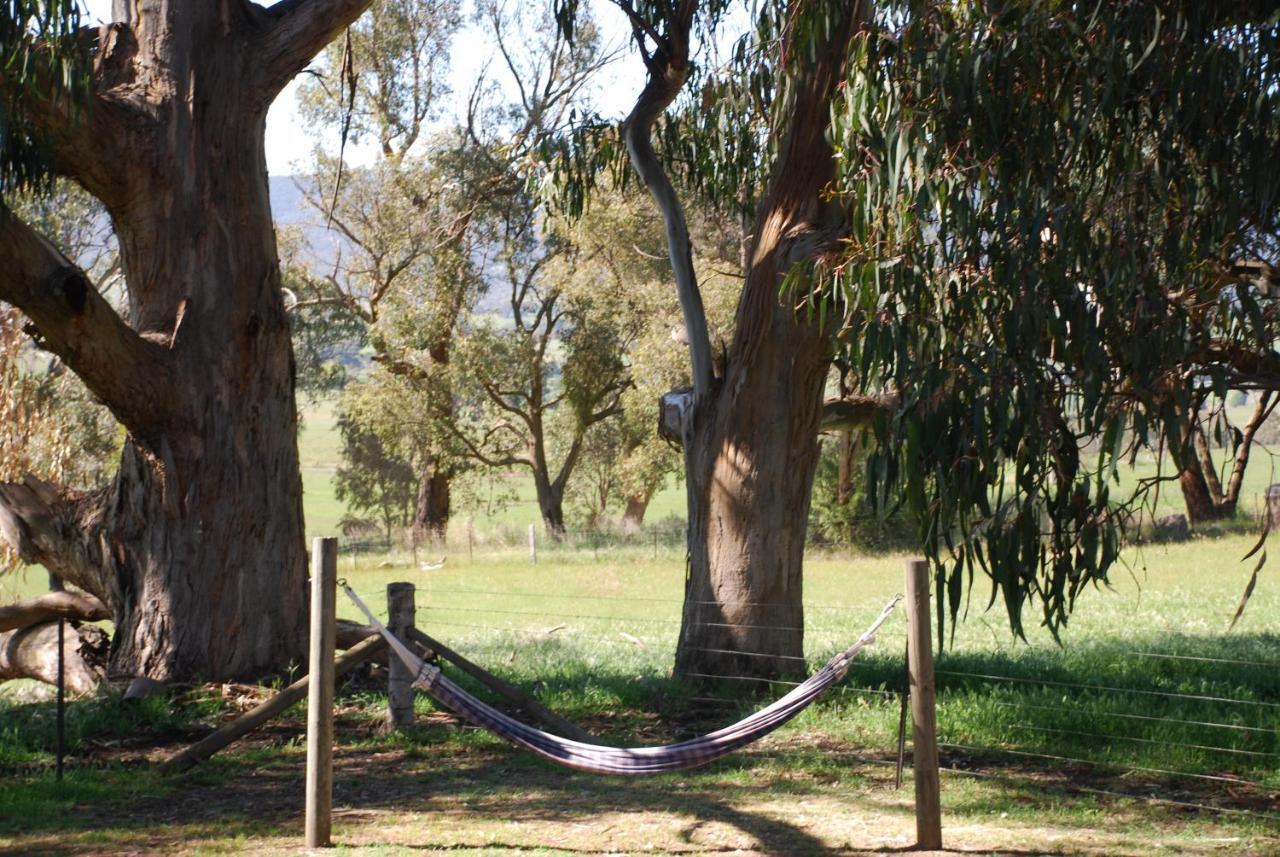 Bluegum Ridge Cottages Merrijig Kamer foto