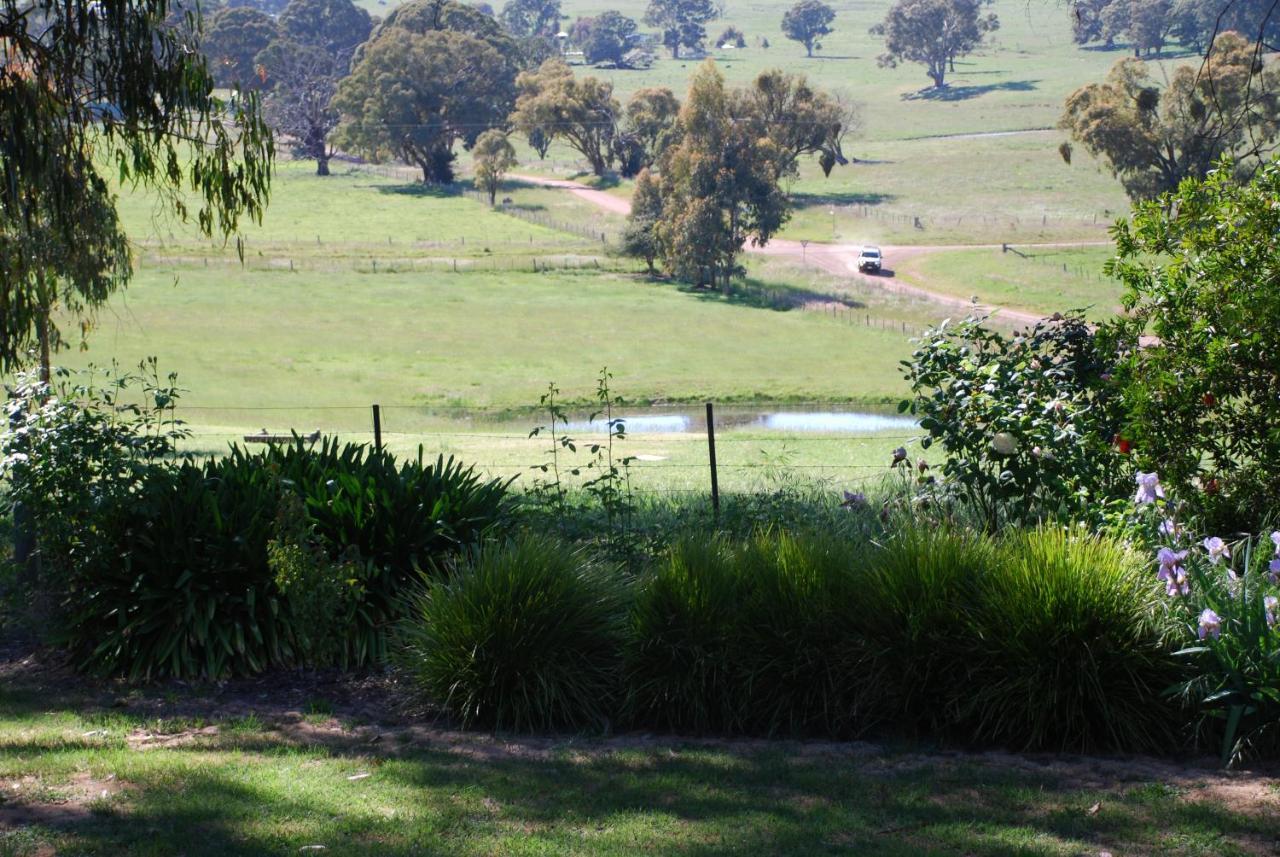 Bluegum Ridge Cottages Merrijig Kamer foto