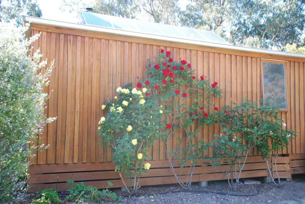 Bluegum Ridge Cottages Merrijig Kamer foto